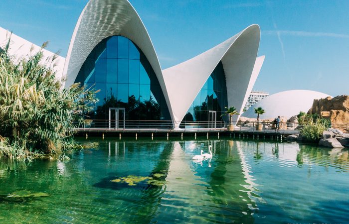 vlc-ttd-recreation-oceanografic002 vlc-ttd-recreation-oceanografic002