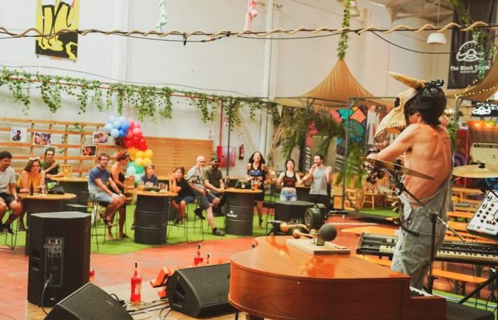 Musician and audience
